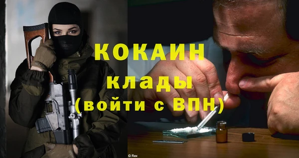 мдпв Осинники