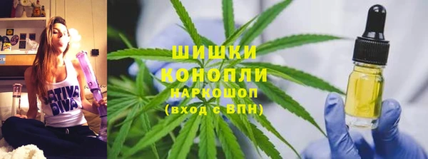 мдпв Осинники