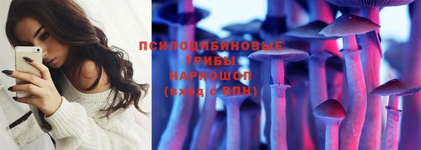 спиды Осташков