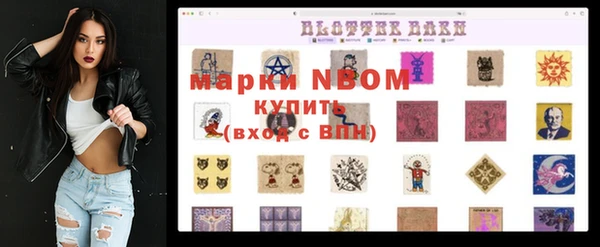 мдпв Осинники
