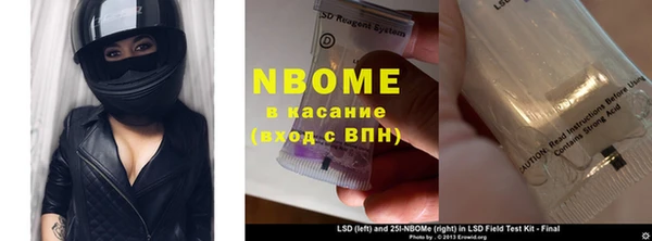 эйфоретик Няндома