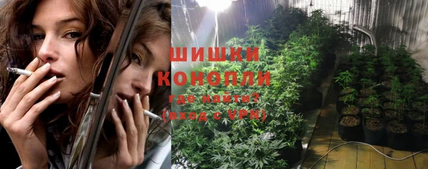мдпв Осинники