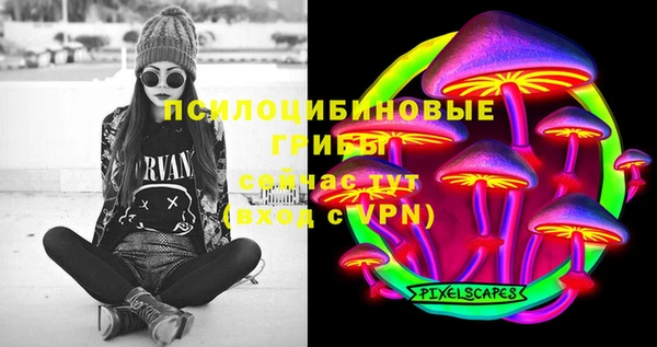 спиды Осташков