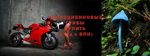 спиды Осташков