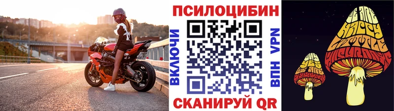 Псилоцибиновые грибы прущие грибы мега ССЫЛКА Астрахань